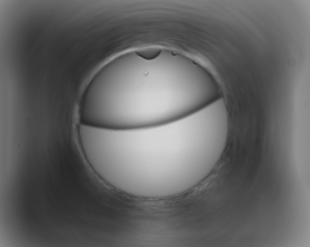 X0000088461524200706191320