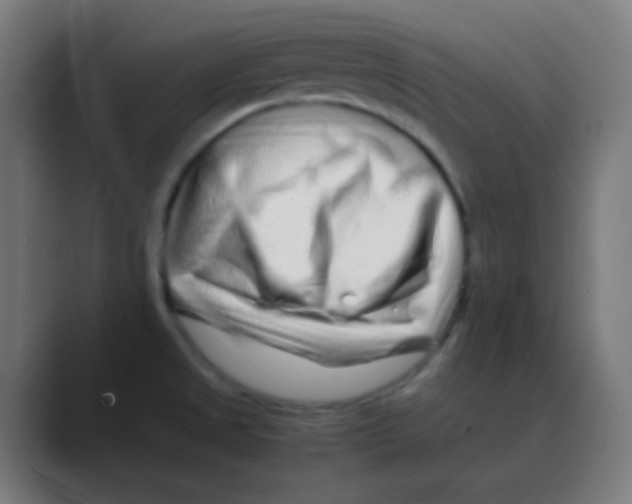 X0000088461525200706191320