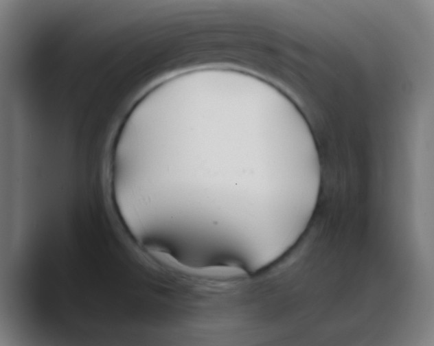 X0000088461526200706191320