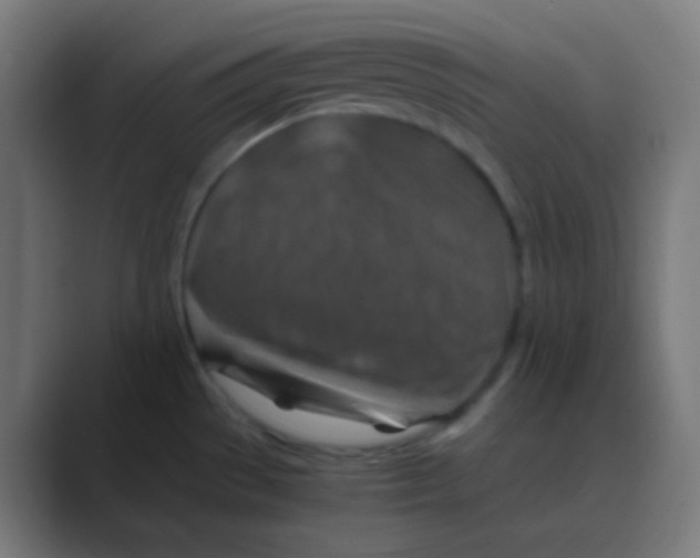 X0000088461529200706191320