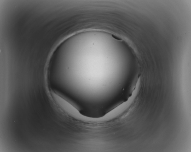 X0000088461530200706191320