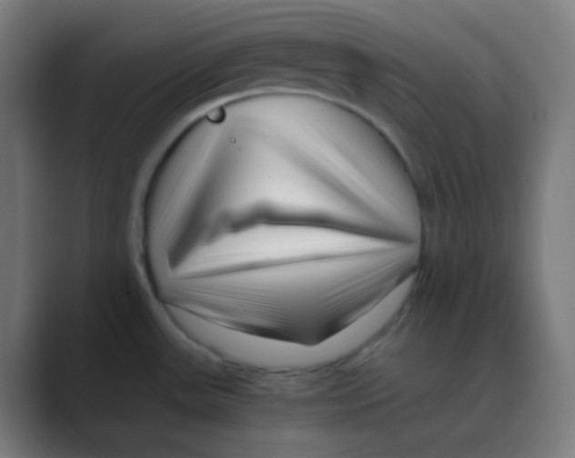 X0000088461531200706191320