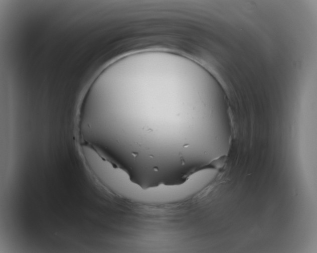 X0000088461532200706191320