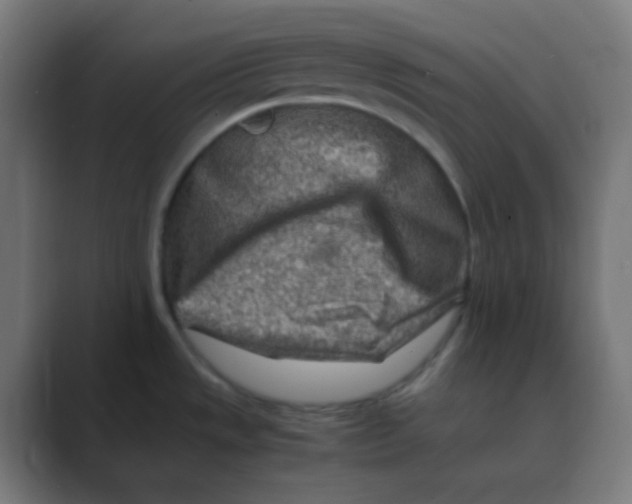 X0000088461533200706191320