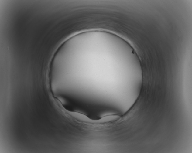 X0000088461534200706191320