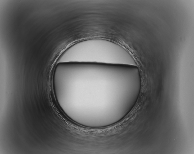 X0000088470002200705220950