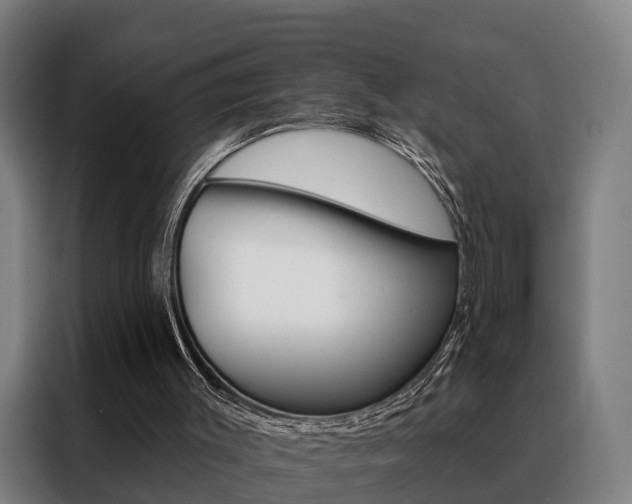 X0000088470003200705220950