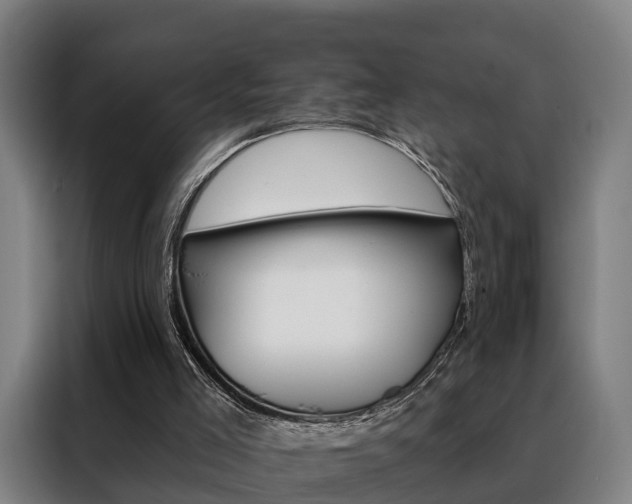 X0000088470005200705220950