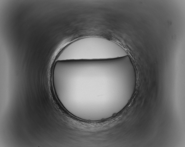 X0000088470006200705220950