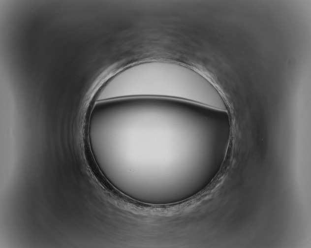 X0000088470007200705220950