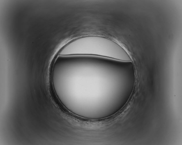 X0000088470008200705220950