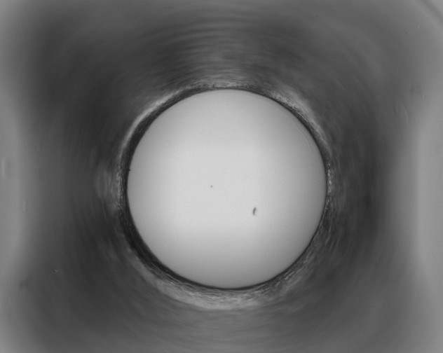 X0000088470012200705220950