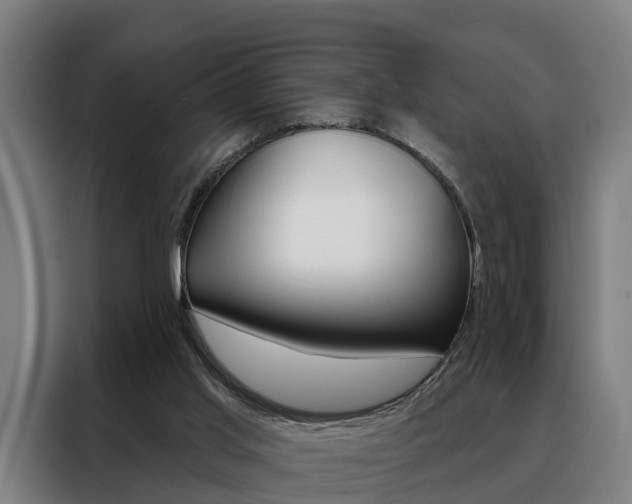 X0000088470013200705220950