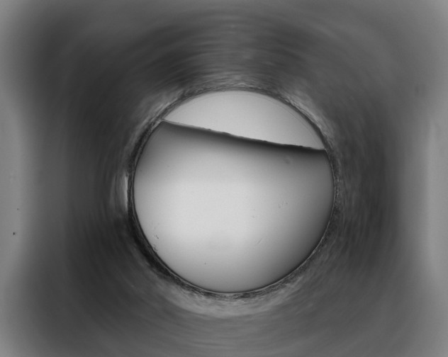 X0000088470014200705220950