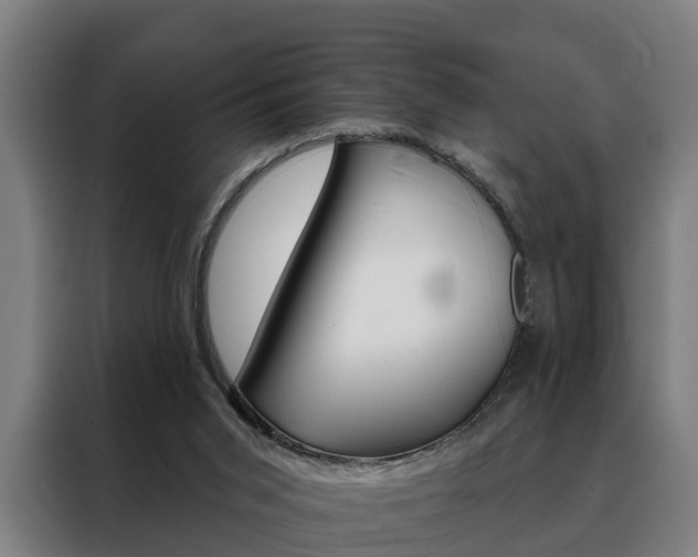 X0000088470015200705220950