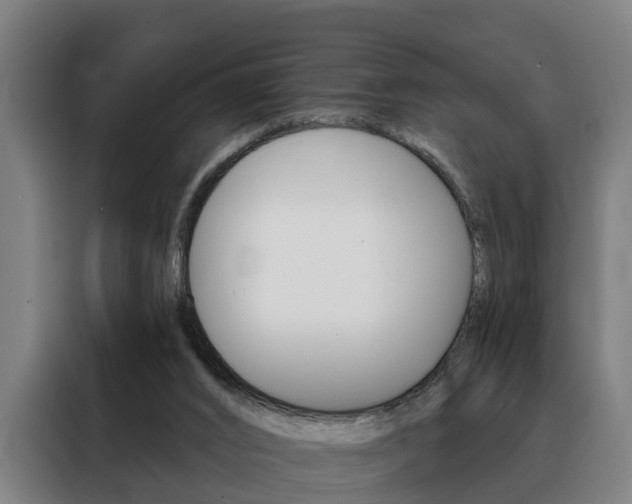 X0000088470016200705220950
