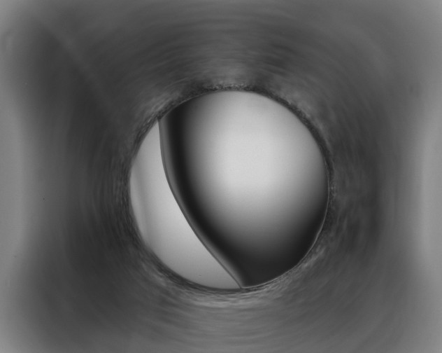 X0000088470017200705220950