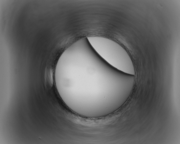 X0000088470022200705220950