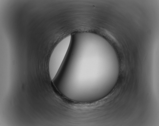 X0000088470025200705220949