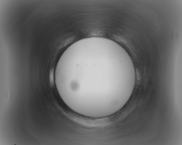 X0000088470028200705220949