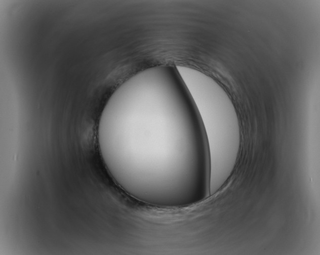 X0000088470029200705220949