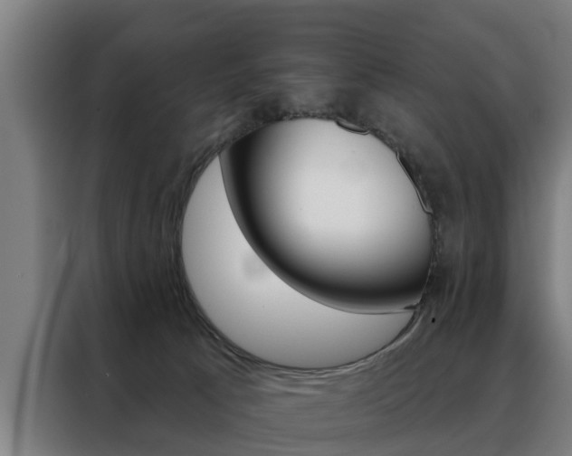 X0000088470033200705220949