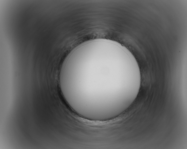 X0000088470034200705220949