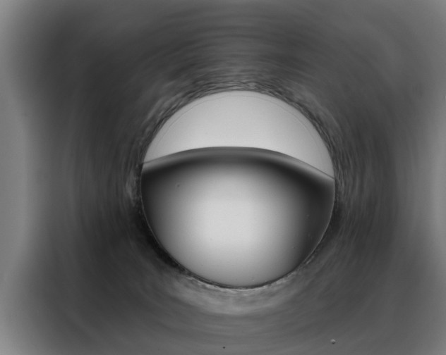 X0000088470035200705220949