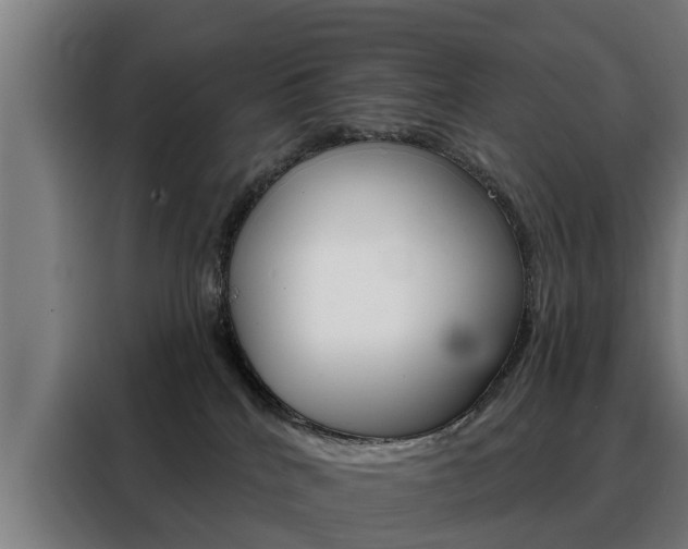 X0000088470040200705220949