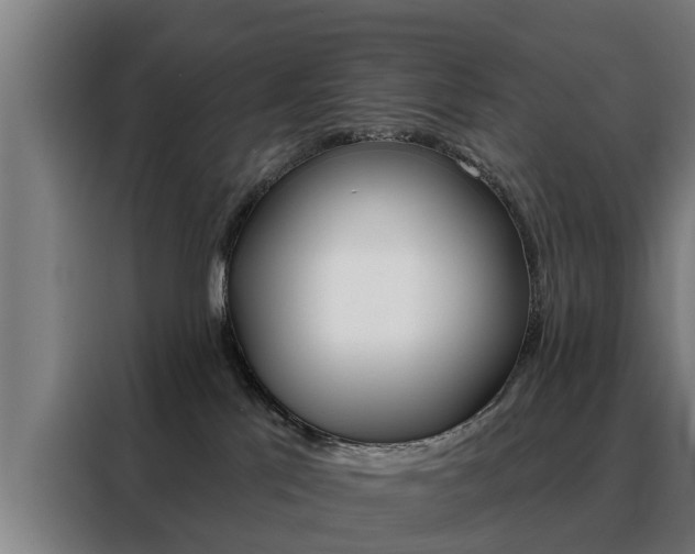 X0000088470041200705220949