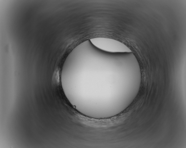 X0000088470042200705220949