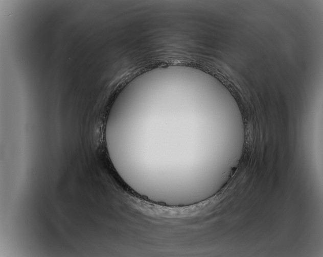 X0000088470043200705220949
