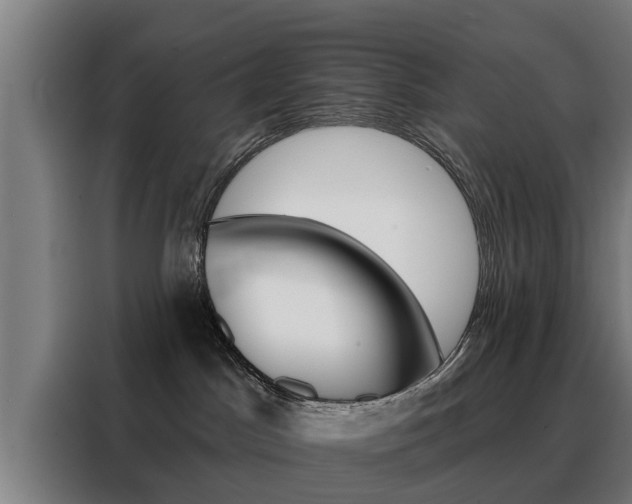 X0000088470045200705220949
