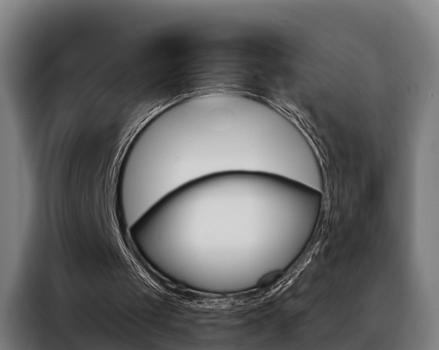 X0000088470049200705220949