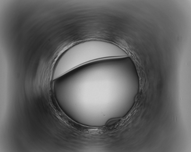 X0000088470050200705220949