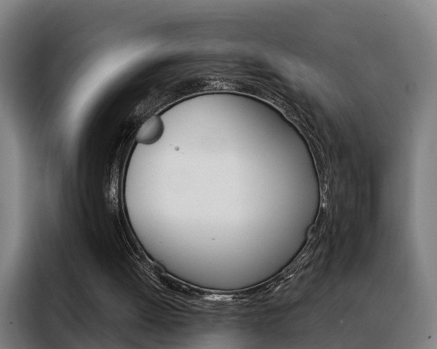 X0000088470052200705220949