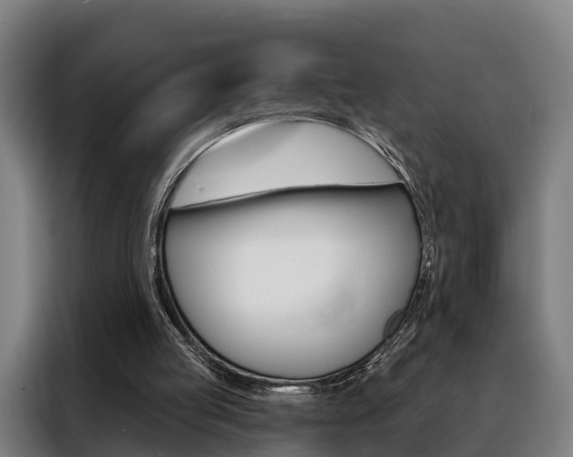 X0000088470053200705220949