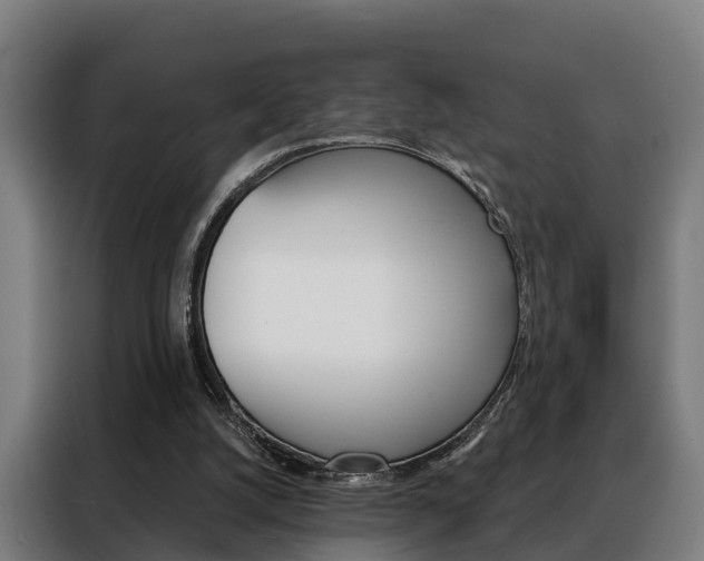 X0000088470056200705220949