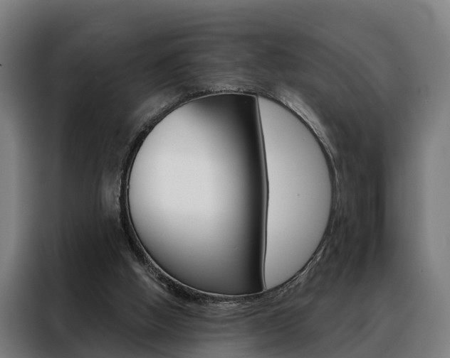 X0000088470058200705220949
