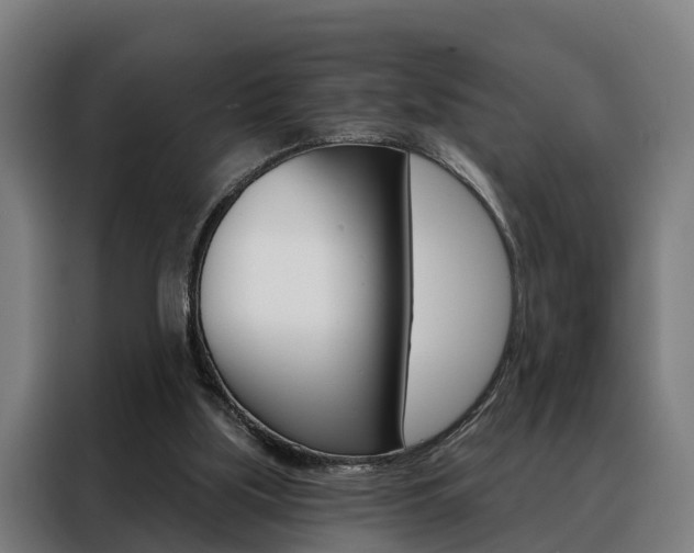 X0000088470059200705220949