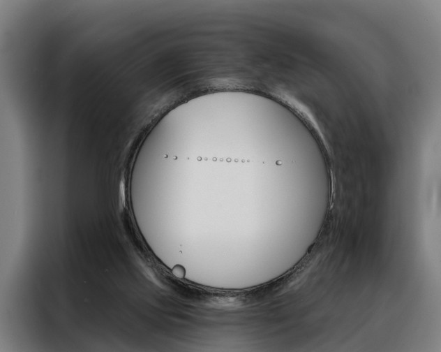 X0000088470061200705220949