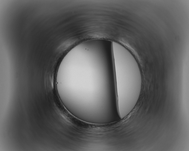 X0000088470062200705220949