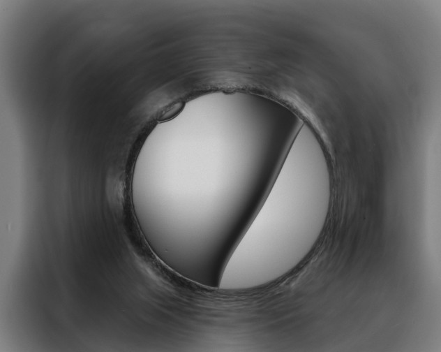 X0000088470063200705220949