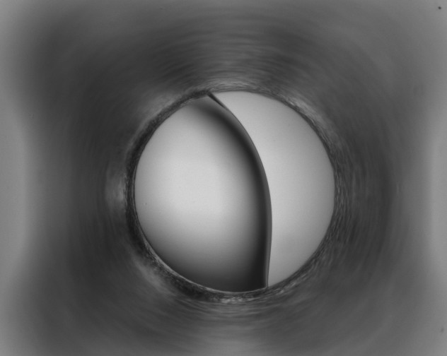 X0000088470064200705220949