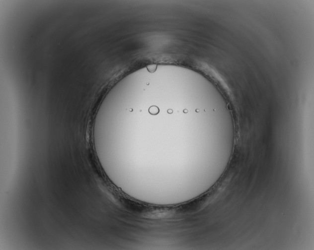 X0000088470065200705220949