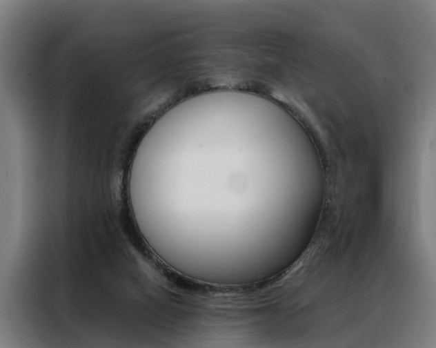 X0000088470066200705220949