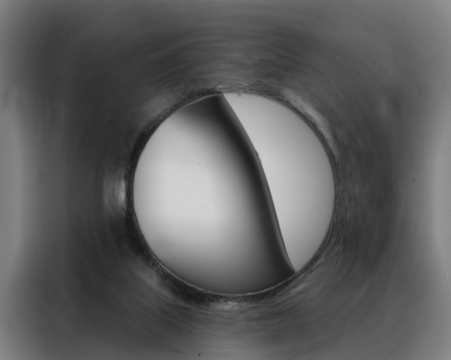 X0000088470067200705220949