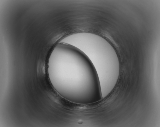 X0000088470068200705220949