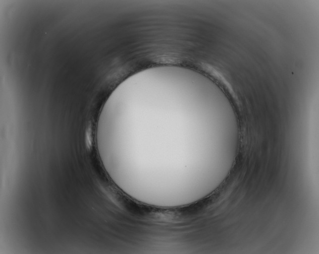 X0000088470069200705220949
