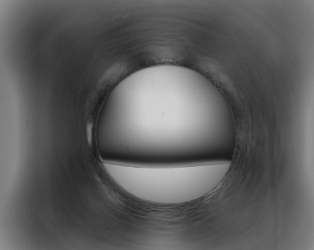 X0000088470070200705220949